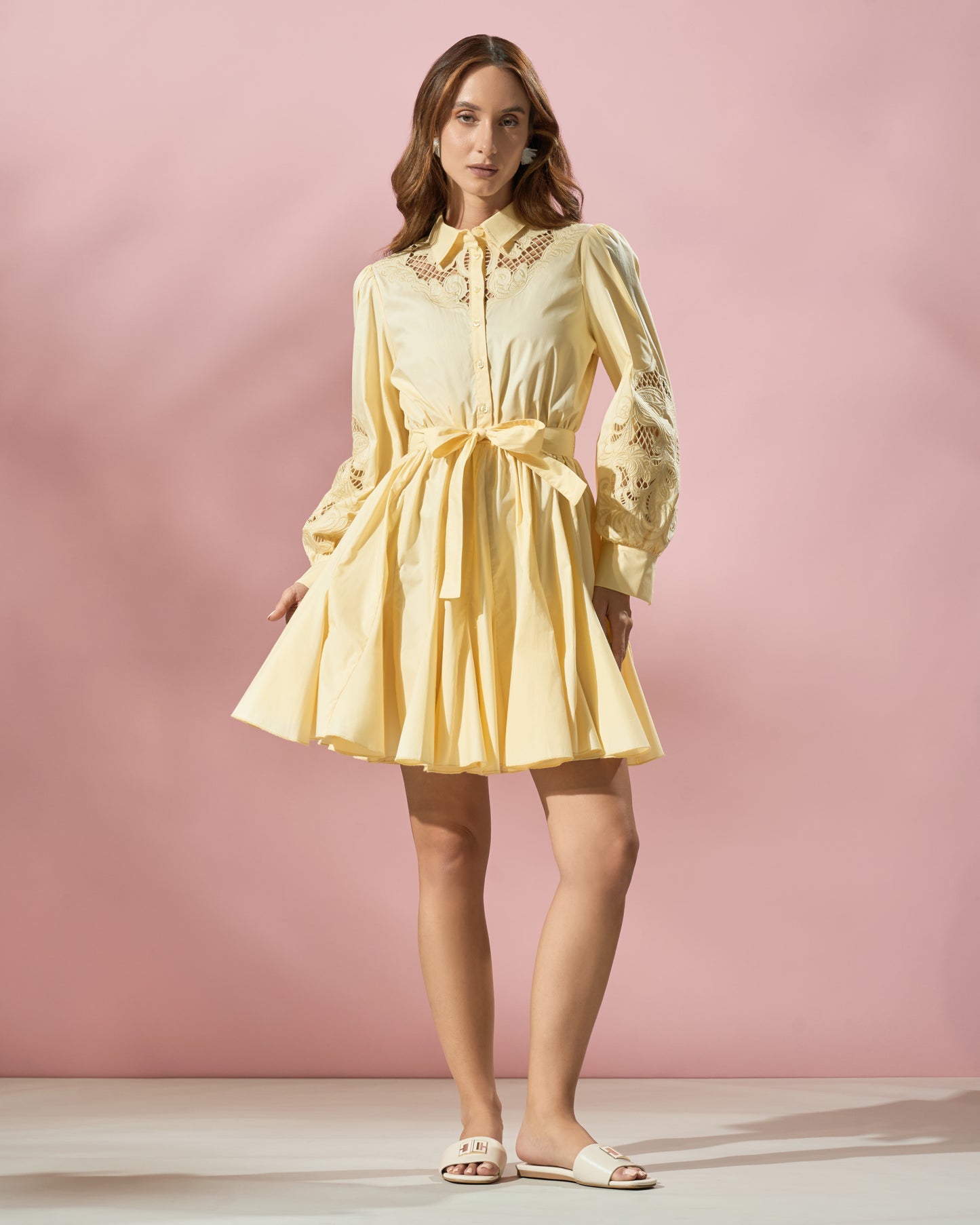Embroidered Flared Dress