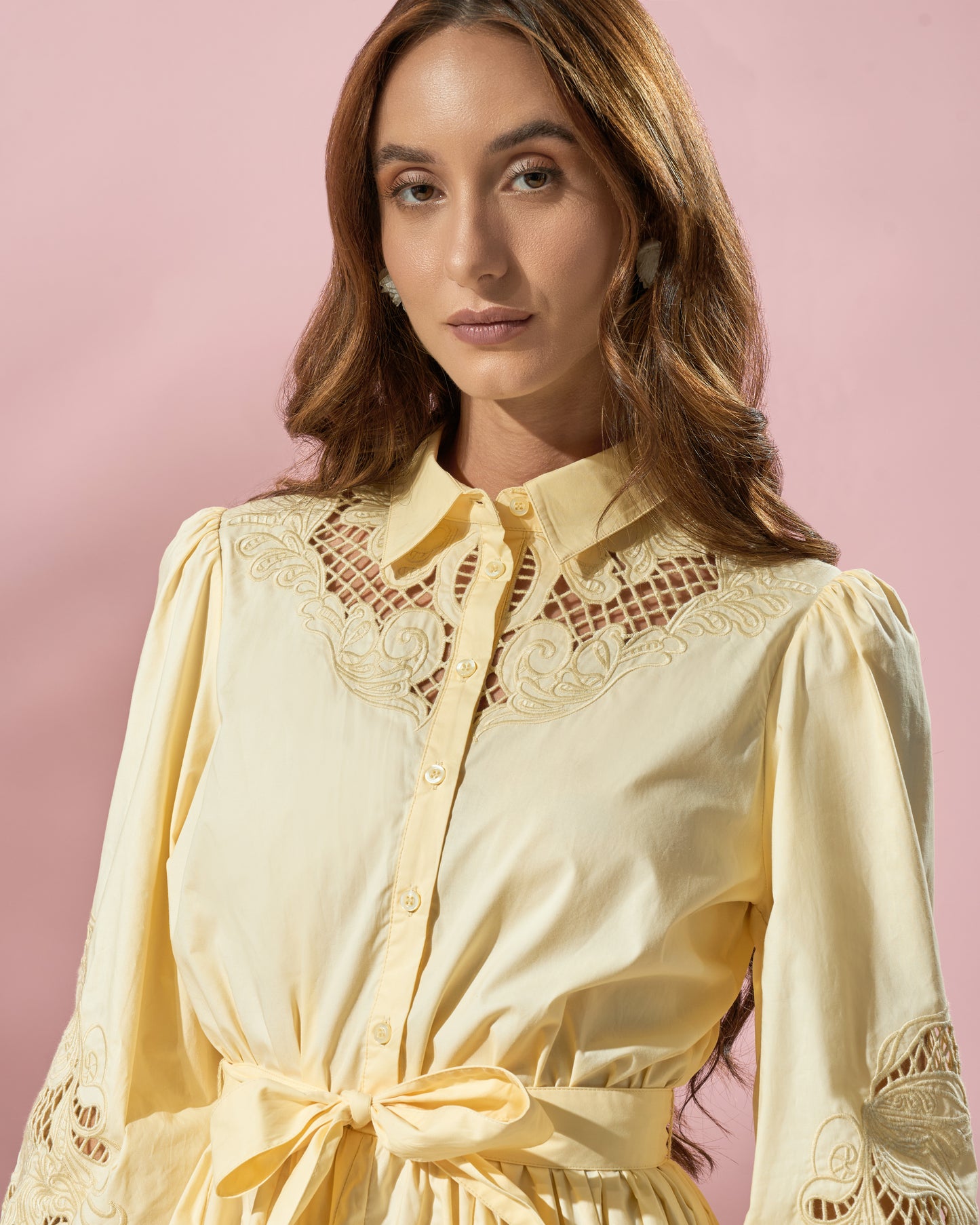 Embroidered Flared Dress