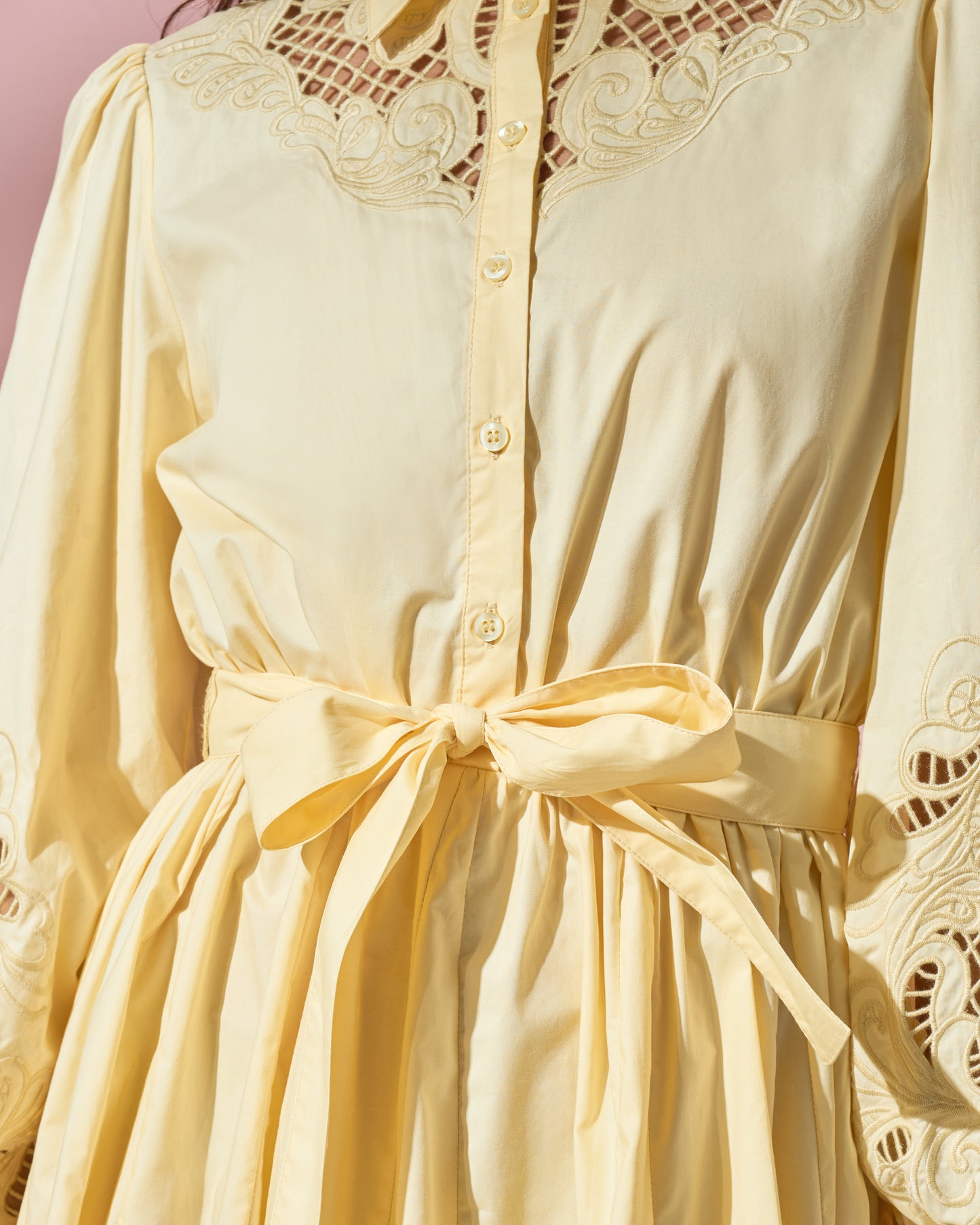 Embroidered Flared Dress