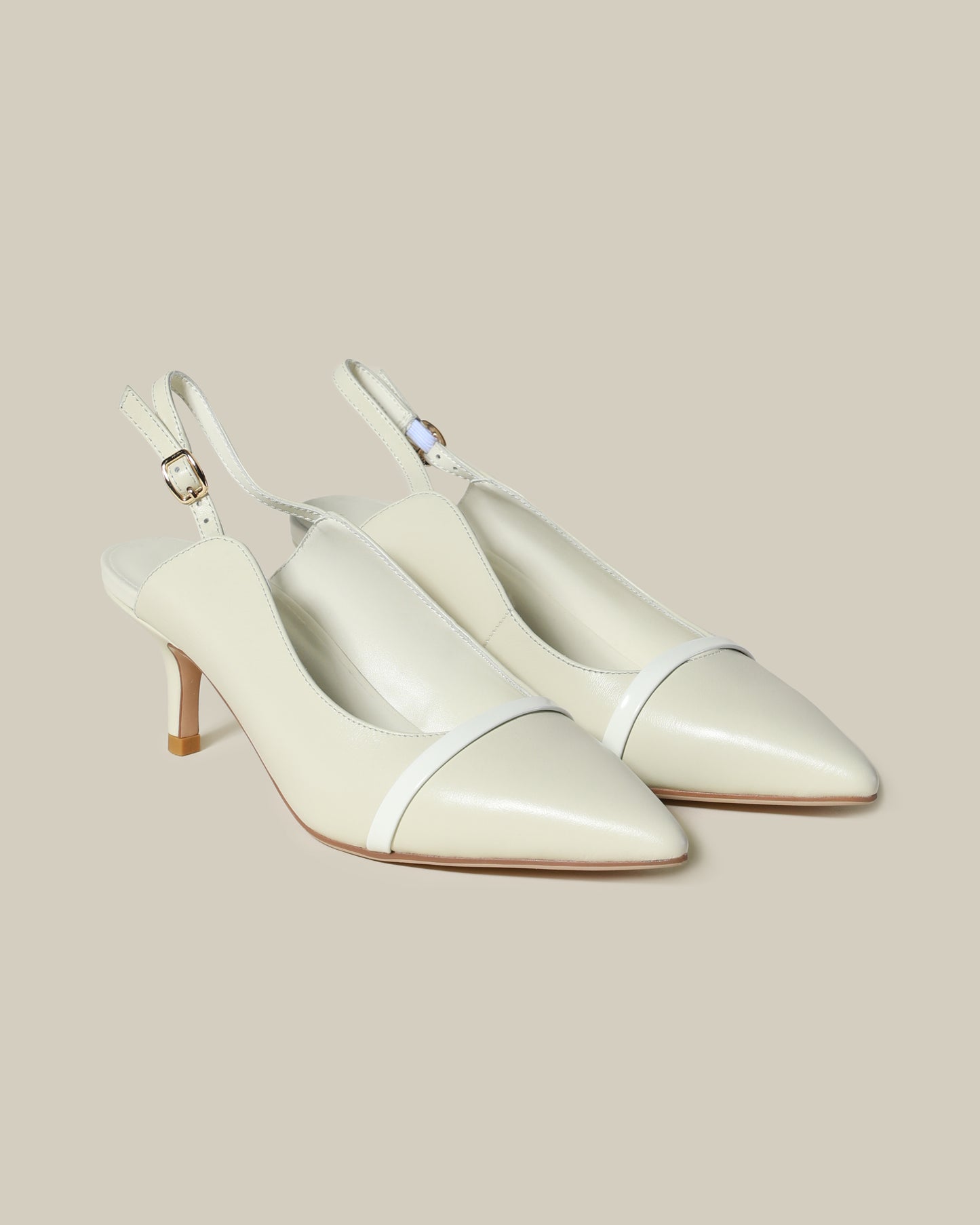 Pointed Toe Slingback Pumps