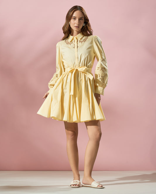 Embroidered Flared Dress