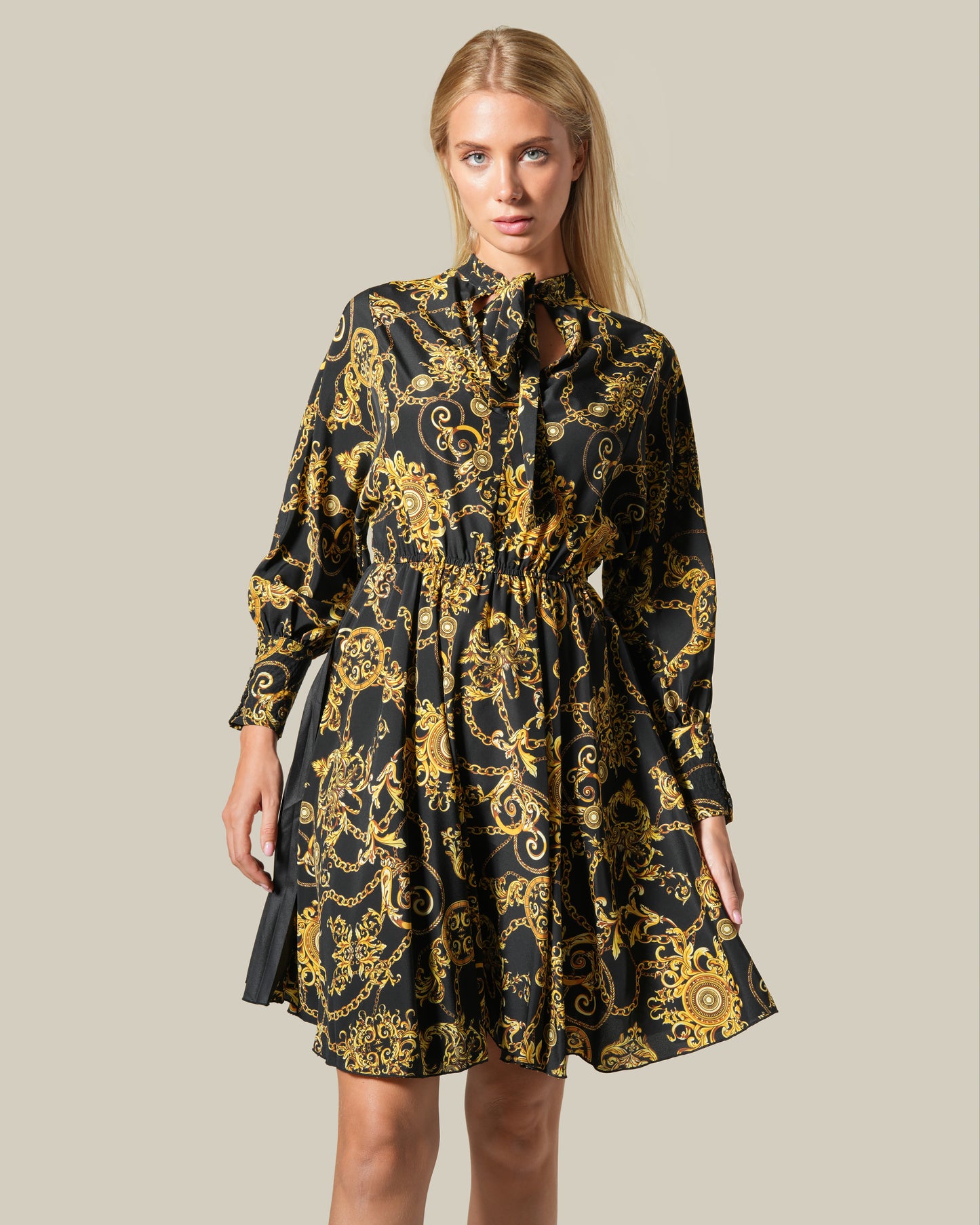 Baroque Chain Pleated Panel Dress